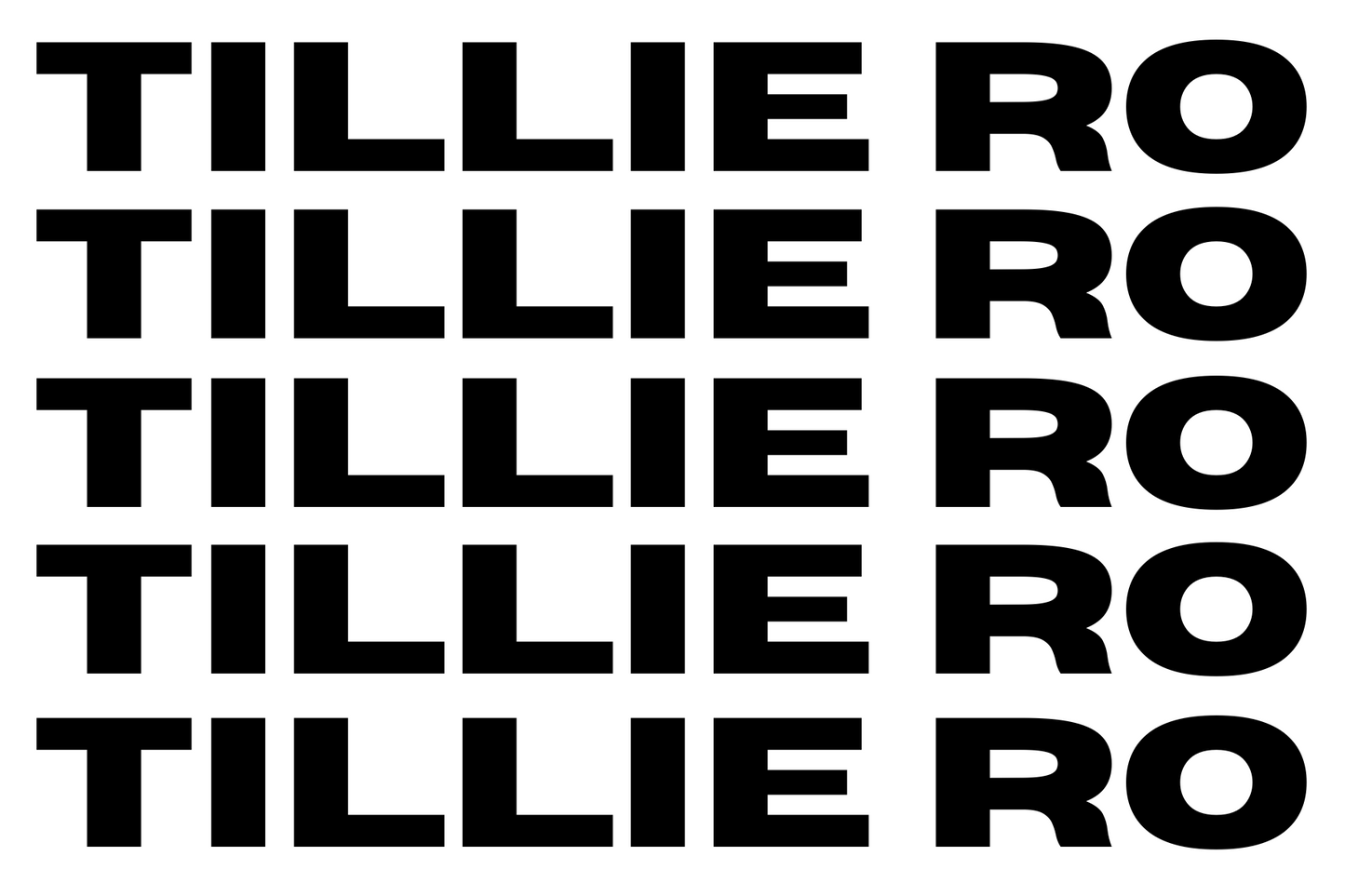 Panhellenic President Hoodies - USF